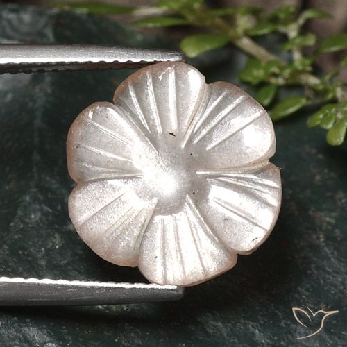 5.24ct Naturel Marron très clair Pierre de lune, Taille Fleur, Translucide