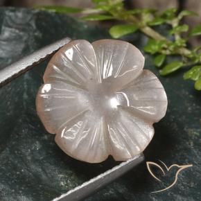 Pierre de lune Marron très clair naturelle Taille Fleur, 5.24 ct, Translucide