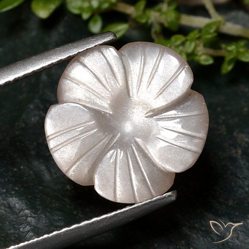 6.68ct Naturel Marron très clair Pierre de lune, Taille Fleur, Translucide