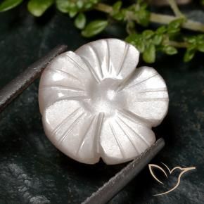 Pierre de lune Marron très clair naturelle Taille Fleur, 6.68 ct, Translucide