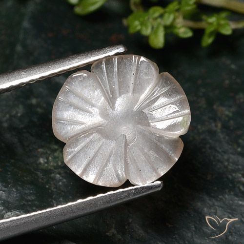 2.76ct Naturel Marron très clair Pierre de lune, Taille Fleur, Translucide
