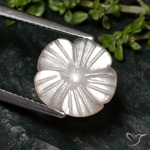 Pierre de lune Brun arachide léger naturelle Taille Fleur, 2.46 ct, Translucide