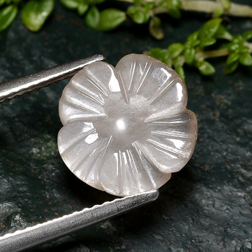 Pierre de lune rose naturelle taille fleur, 3,60 ct, translucide
