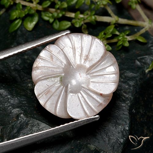 8.04ct Naturel Brun pâle Pierre de lune, Taille Fleur, Translucide