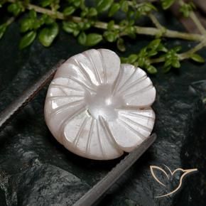 Pierre de lune Brun pâle naturelle Taille Fleur, 8.04 ct, Translucide