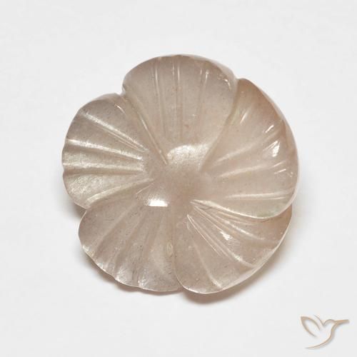 5.53ct Naturel Brun caramel léger Pierre de lune, Taille Fleur, Translucide