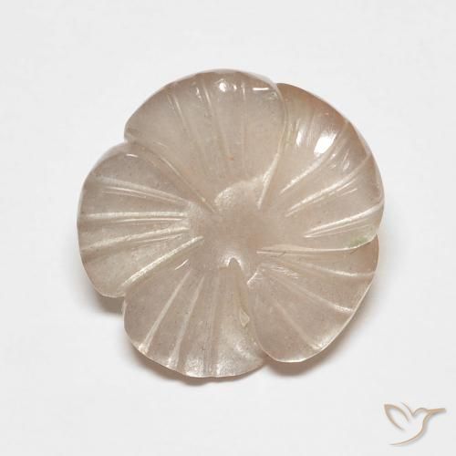 Pierre de lune Brun caramel léger naturelle Taille Fleur, 5.53 ct, Translucide