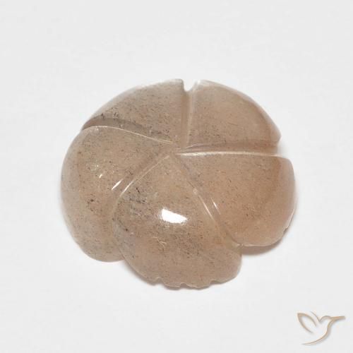 Pierre de lune Brun caramel léger naturelle Taille Fleur, 5.53 ct, Translucide
