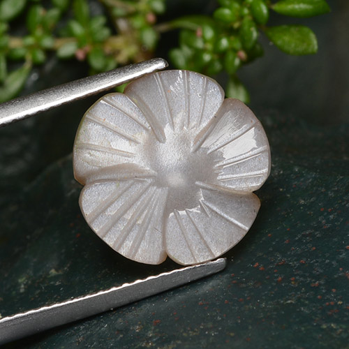 Pierre de lune marron naturelle taille fleur, 5,29 ct, translucide