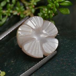 Pierre de lune marron naturelle taille fleur, 5,29 ct, translucide