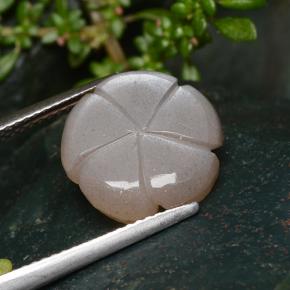 Pierre de lune marron naturelle taille fleur, 5,29 ct, translucide