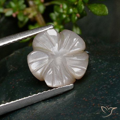 Pierre de lune Marron très clair naturelle Taille Fleur, 3.25 ct, Translucide
