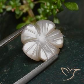 Pierre de lune Marron très clair naturelle Taille Fleur, 3.25 ct, Translucide