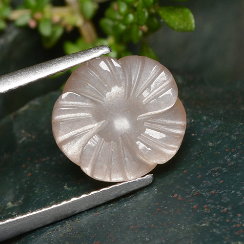 Pierre de lune orange naturelle taille fleur, 4,01 ct, translucide