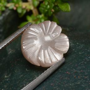 Pierre de lune orange naturelle taille fleur, 4,01 ct, translucide