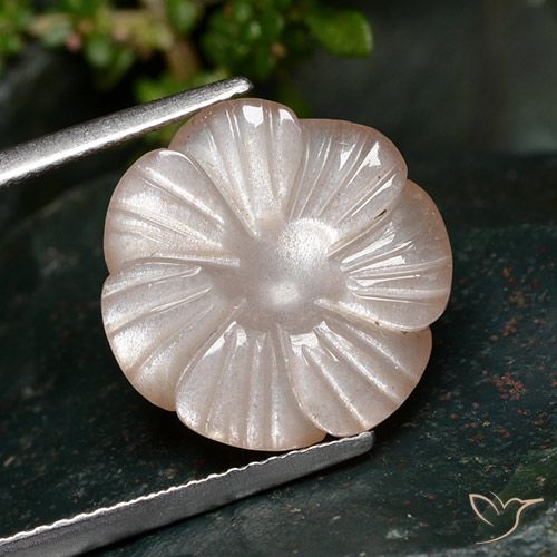 7.28ct Naturel Pêche Orange Pierre de lune, Taille Fleur, Translucide