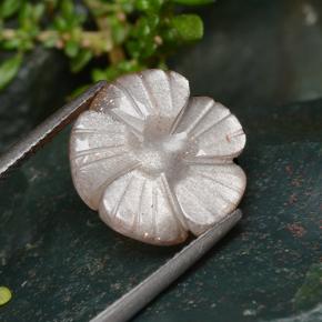 Pierre de lune orange naturelle taille fleur, 6,41 ct, translucide