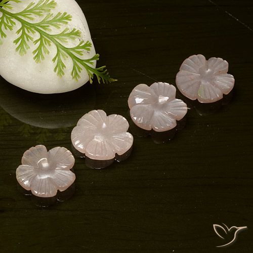 8.75ctw Naturel Orange rose Pierre de lune, Taille Fleur, Translucide