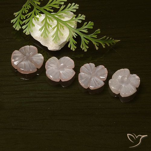 4.23ctw Naturel Orange clair Pierre de lune, Taille Fleur, Translucide