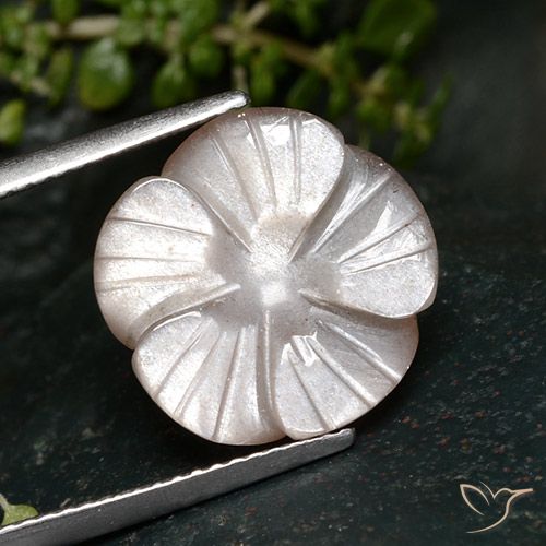 7.24ct Naturel Rose très clair Pierre de lune, Taille Fleur, Translucide