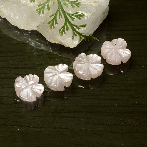 Achetez naturel 5.06ct Rose très clair Pierre de Lune gems, Taille Fleur, En provenance Inde chez GemSelect. En stock, livraison internationale!