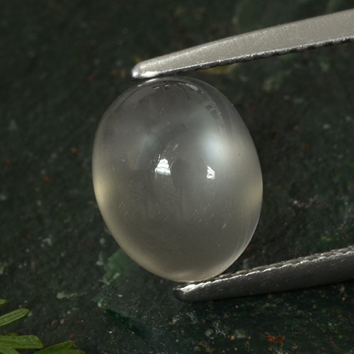 Pierre de lune gris naturelle coupe ovale, 3,50 ct, translucide