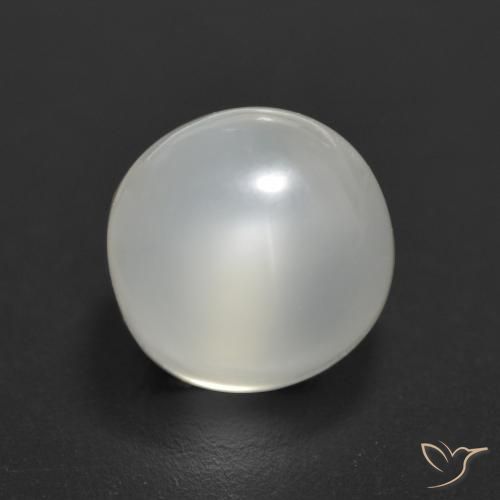 Pierre de Lune Blanc translucide naturelle Coupe roude, 1.99 ct, Transparent