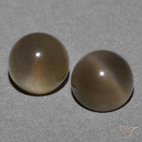 1.21ctw Naturel Brun moyen Pierre de lune, Tour, Translucide