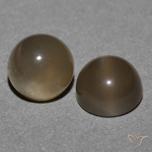 Shop natural 1.21ct Brun moyen Pierre de lune gems, Tour, from Inde at GemSelect. In stock, global shipping!