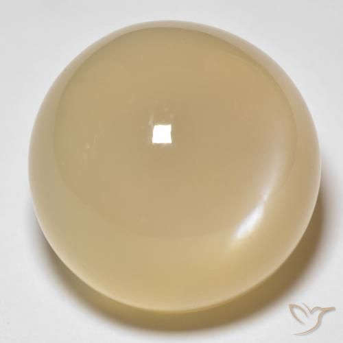33.80ct Naturel Doré Pierre de lune, Tour, Translucide