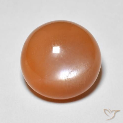 5.15ct Naturel Orange abricot chaud Pierre de lune, Tour, Opaque