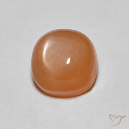 1.17ct Naturel Orange rougeâtre Pierre de lune, Coussin, Translucide