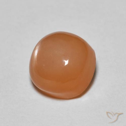 Pierre de lune Orange rougeâtre naturelle Coussin, 1.17 ct, Translucide