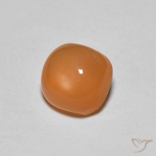 Pierre de lune Orange abricot chaud naturelle Coussin, 1.18 ct, Translucide
