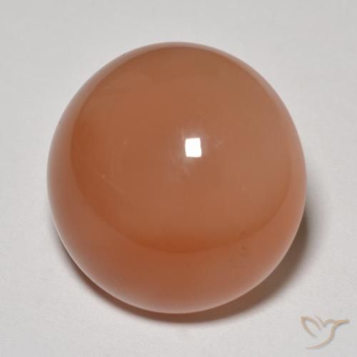 Pierre de lune Orange cantaloup naturelle Tour, 14.30 ct, Translucide