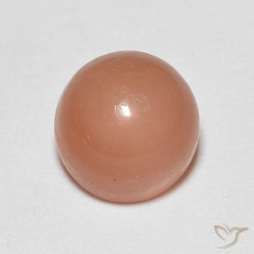 1.30ct Naturel Orange cantaloup Pierre de lune, Tour, Translucide