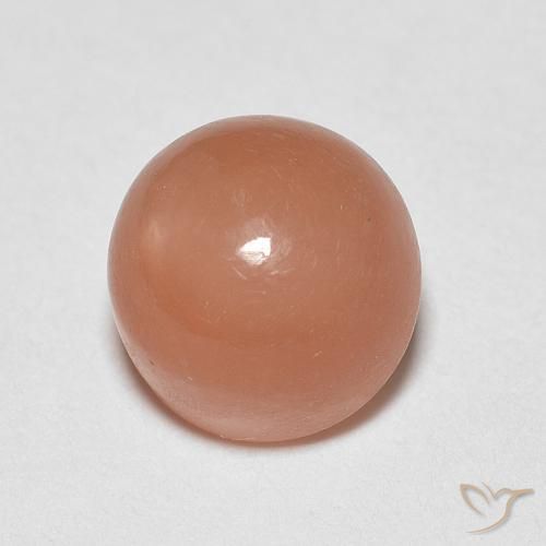 Pierre de lune Orange cantaloup naturelle Tour, 1.30 ct, Translucide