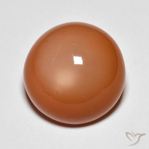10.07ct Naturel Orange moyen Pierre de lune, Tour, Opaque