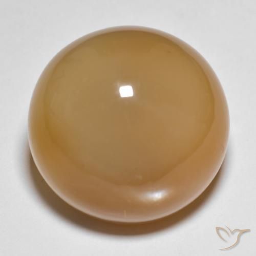 27.15ct Naturel Marron clair Pierre de lune, Tour, Translucide