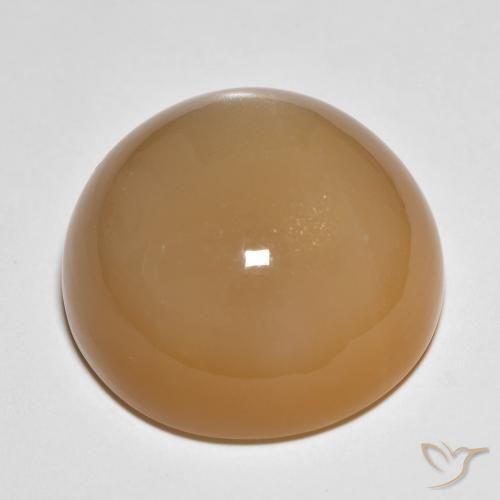 Pierre de lune Marron clair naturelle Tour, 27.15 ct, Translucide