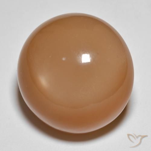 Pierre de lune Brun moyen naturelle Tour, 28.68 ct, Translucide