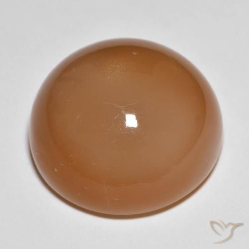 Pierre de lune Brun moyen naturelle Tour, 28.68 ct, Translucide