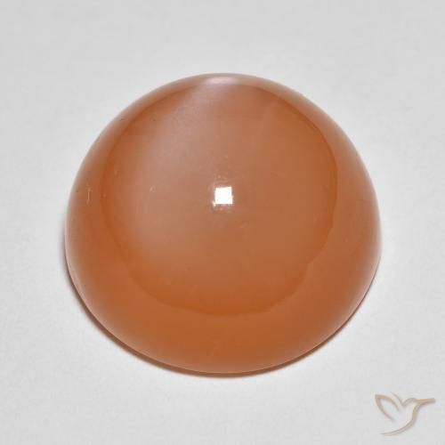 Pierre de lune Pourpre rougeâtre léger naturelle Tour, 18.54 ct, Translucide