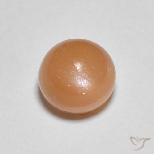 1.22ct Naturel Orange abricot chaud Pierre de lune, Tour, Translucide