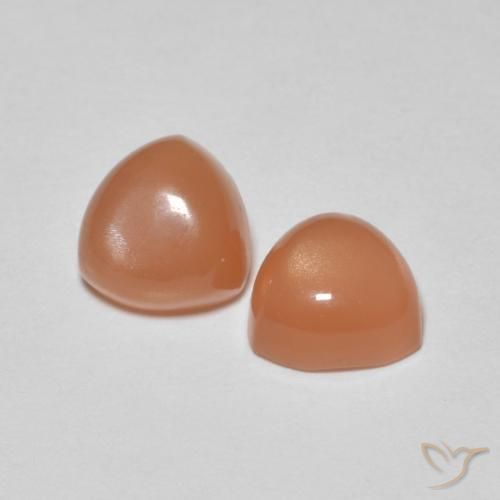 Shop natural 1.58ct Pourpre rougeâtre léger Pierre de lune gems, Trillion, from Inde at GemSelect. In stock, global shipping!