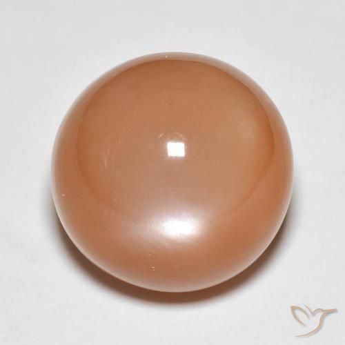 13.61ct Naturel Orange cantaloup Pierre de lune, Tour, Translucide