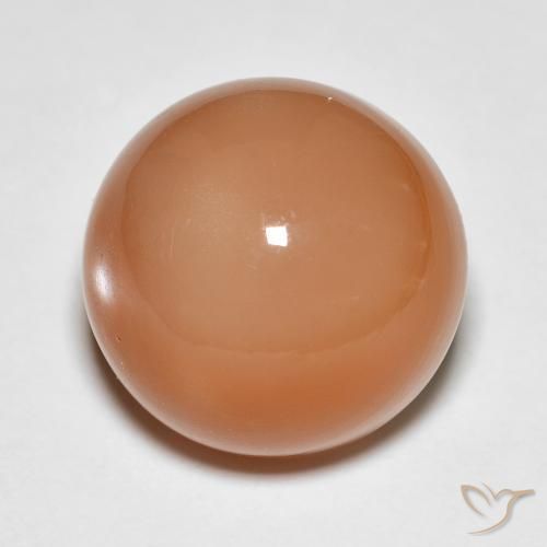Pierre de lune Orange cantaloup naturelle Tour, 13.61 ct, Translucide