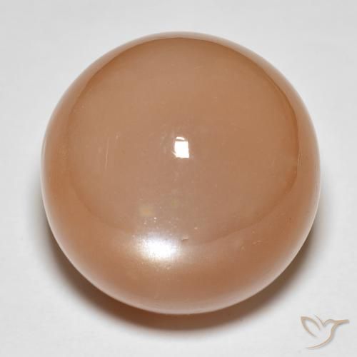 31.92ct Naturel Orange cantaloup Pierre de lune, Tour, Translucide