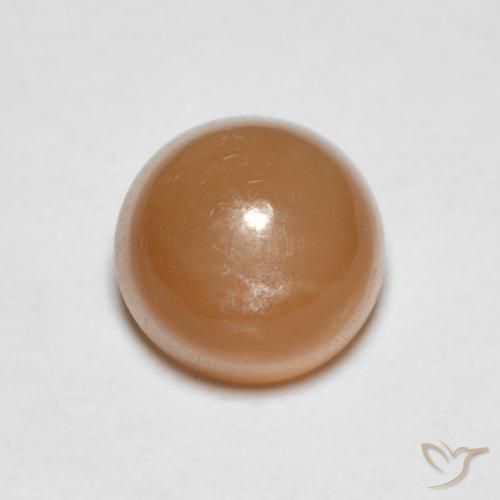 1.19ct Naturel Orange cantaloup Pierre de lune, Tour, Translucide