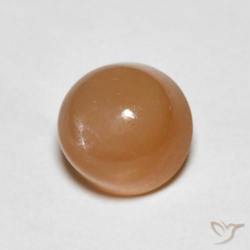 Pierre de lune Orange cantaloup naturelle Tour, 1.19 ct, Translucide